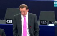 All EU foreign policy has done is destabilise the Middle East – Raymond Finch MEP